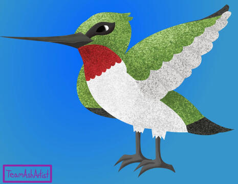 Hummingbird