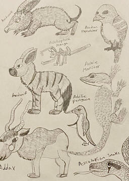 Animal Sketchbook Drawing